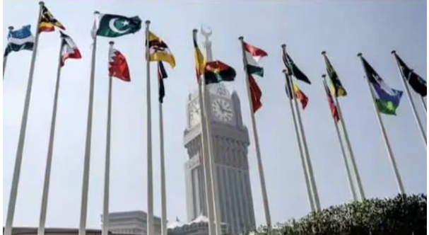 ਪਾਕਿਸਤਾਨ ਦੇ ਹੱਕ ‘ਚ ਭੁਗਤੇ ਤੁਰਕੀ ‘ਚ ਇਕੱਠੇ ਹੋਏ 57 ਮੁਸਲਿਮ ਦੇਸ਼ , ਸਿੰਧੂ ਜਲ ਸਮਝੌਤਾ ਲਾਗੂ ਕਰਨ ਤੇ ਕਸ਼ਮੀਰ ਦੇ ਮੁੱਦੇ ‘ਤੇ ਭਾਰਤ ਨੂੰ ਦਿੱਤੀ ‘ਧਮਕੀ’ ?