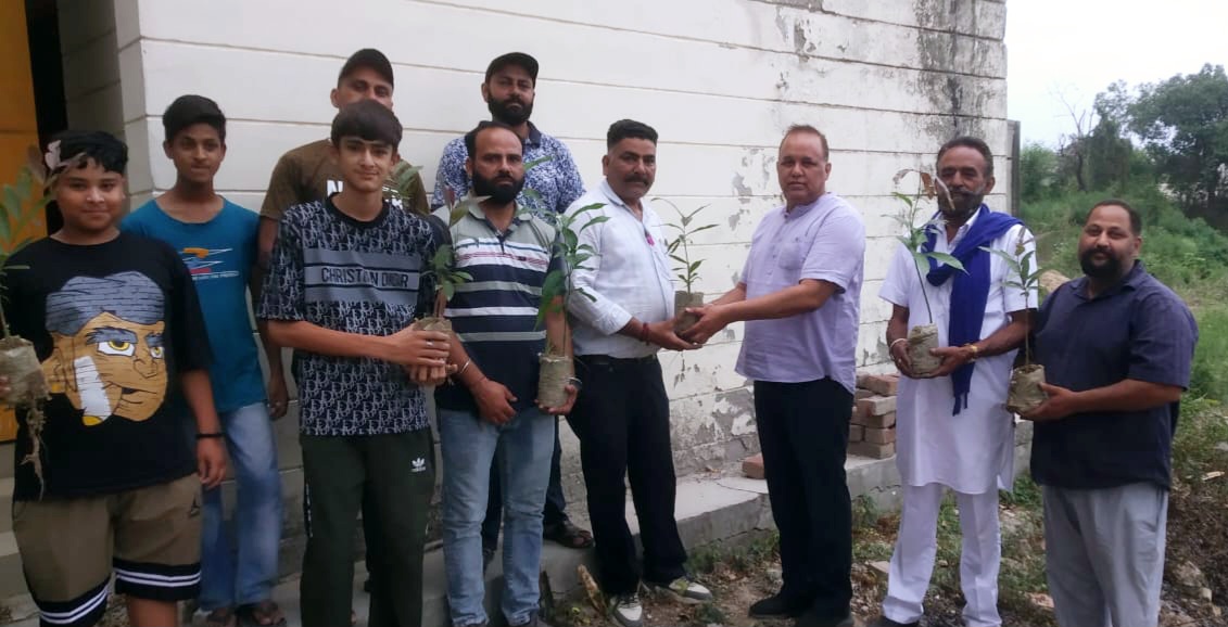 ਰੁੱਖਾਂ ਦੀ ਘਾਟ ਵਾਤਾਵਰਣ ਵਿੱਚ ਅਸੰਤੁਲਨ ਪੈਦਾ ਕਰਦੀ ਹੈ: ਤਲਵਾੜ