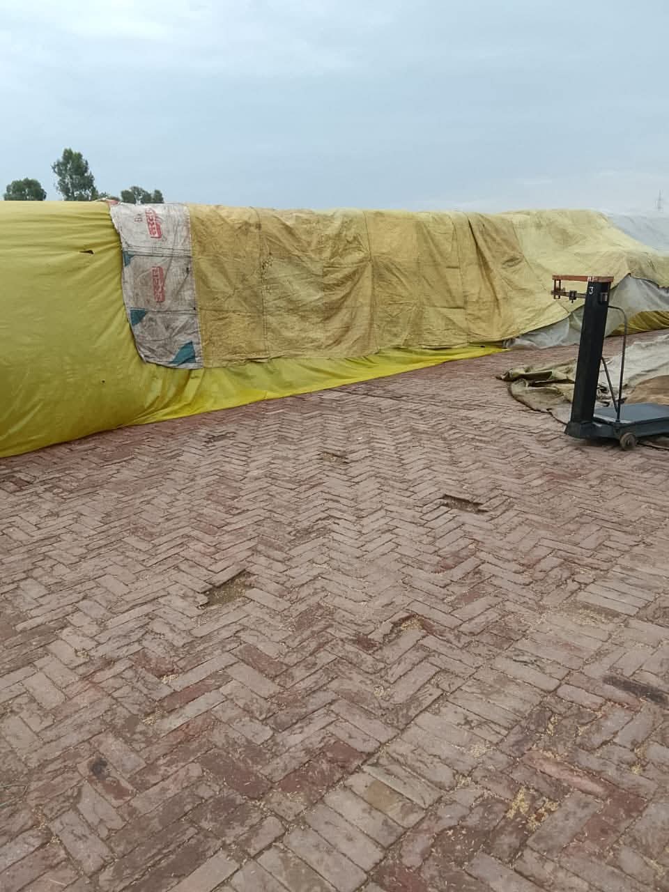 ਡਿਪਟੀ ਕਮਿਸ਼ਨਰ ਹਿਮਾਂਸ਼ੂ ਅਗਰਵਾਲ ਨੇ ਮੀਂਹ ਦੇ ਮੱਦੇਨਜ਼ਰ ਕਿਸਾਨਾਂ ਦੀ ਮੰਡੀਆਂ ਵਿੱਚ ਆਈ ਫ਼ਸਲ ਦੀ ਤਰਪਾਲਾਂ ਸਮੇਤ ਹੋਰ ਢੁੱਕਵੇਂ ਪ੍ਰਬੰਧ ਯਕੀਨੀ ਬਣਾਉਣ ਦੇ  ਨਿਰਦੇਸ਼ ਦਿੱਤੇ