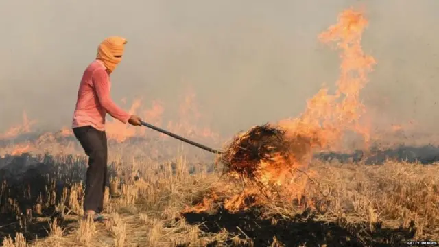 ਪੰਜਾਬ ਵਿੱਚ ਖੇਤਾਂ ਵਿੱਚ ਪਰਾਲੀ ਸਾੜਨ ਦੀਆਂ 351 ਨਵੀਆਂ ਘਟਨਾਵਾਂ, ਕੁੱਲ ਗਿਣਤੀ 3,284 ਤੱਕ ਪਹੁੰਚ ਗਈ