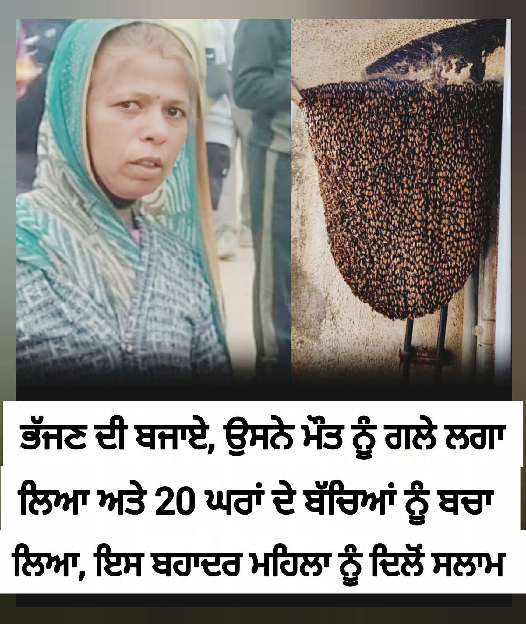 ਆਂਗਨਵਾੜੀ ਵਿੱਚ ਖਾਣਾ ਬਣਾਉਣ ਵਾਲੀ ਕੰਚਨ ਬਾਈ ਮੇਘਵਾਲ ਨੇ ਆਪਣੀ ਜਾਨ ਦੇ ਬਦਲੇ ਬਚਾਈ 20 ਬੱਚਿਆਂ ਦੀ ਜਾਨ